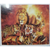 Load image into Gallery viewer, Stella Stone Full Drill Diamond Art Mix B - 30cm x 40cm
