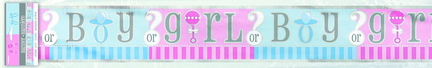 Baby Reveal Boy or Girl? Foil Banner - 3.6m - The Base Warehouse