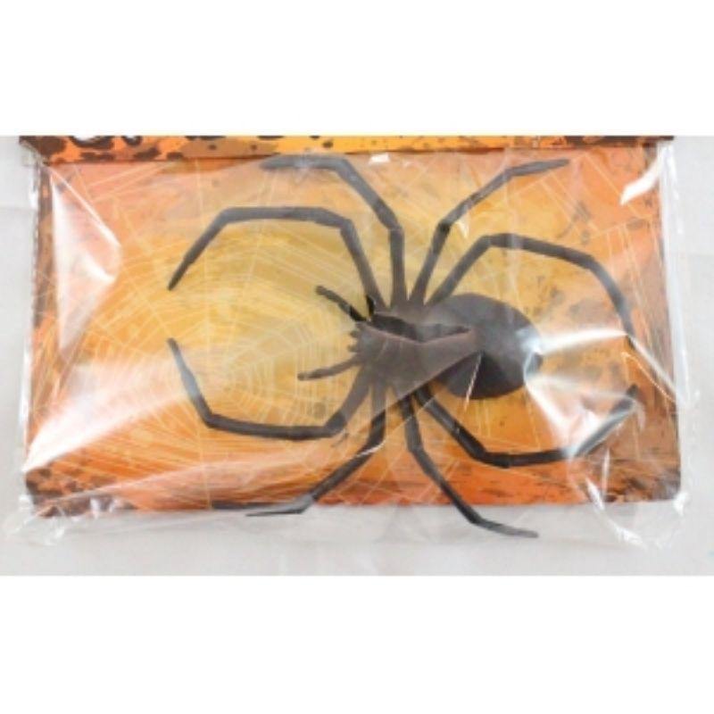 Spider - 16cm x 11cm - The Base Warehouse