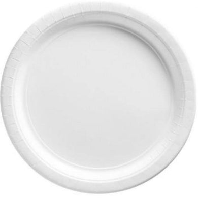 20 Pack Frosty White Paper Plates - 17cm - The Base Warehouse