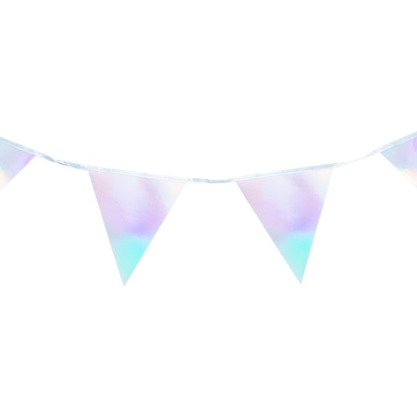 Iridescent Silver Bunting - 3.5m
