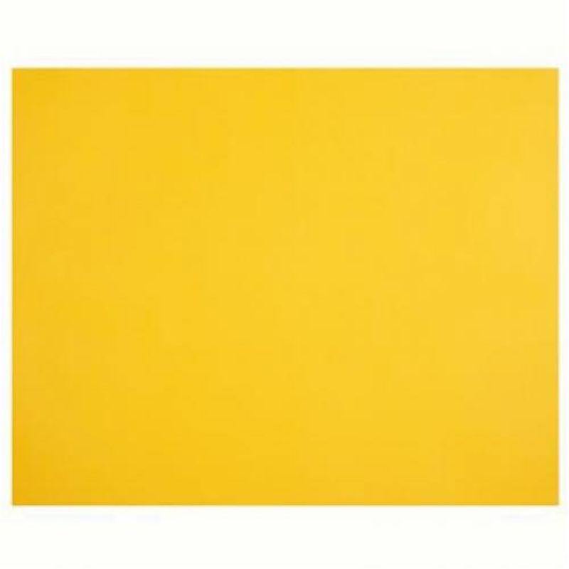 Sunshine Cardboard - 63.5cm x 51cm - The Base Warehouse