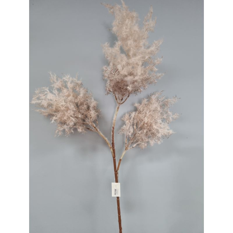 Light Brown Pampas Spray x 3 - 105cm
