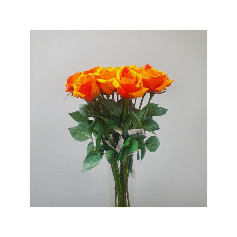 Orange Ecuador Rose - 67cm