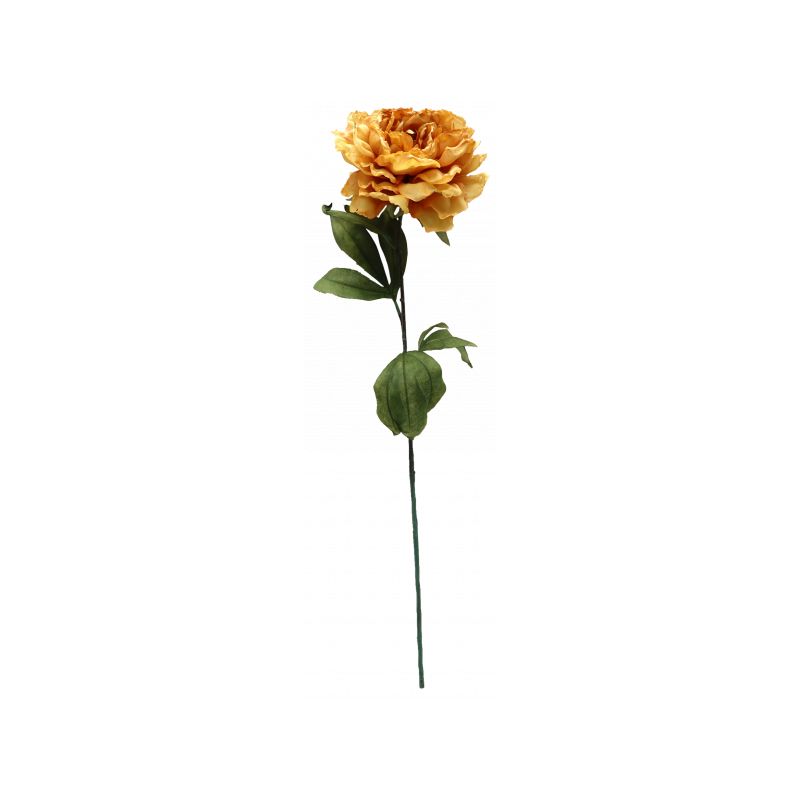 Yellow Dried Peony Stem - 81cm