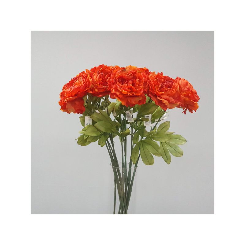 Orange Dried Peony Stem - 81cm