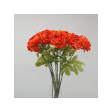 Load image into Gallery viewer, Orange Dried Peony Stem - 81cm
