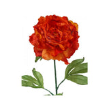 Load image into Gallery viewer, Orange Dried Peony Stem - 81cm
