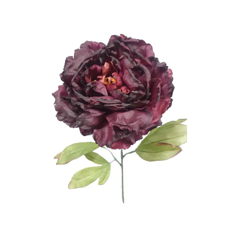 Dark Purple Dried Peony Stem - 81cm