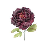 Load image into Gallery viewer, Dark Purple Dried Peony Stem - 81cm
