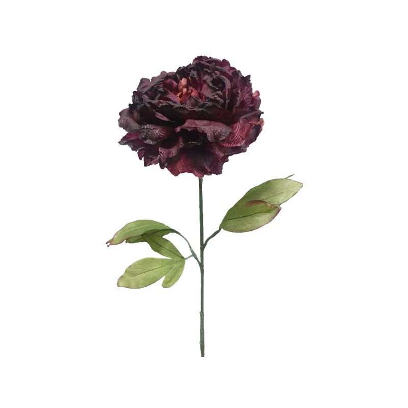 Dark Purple Dried Peony Stem - 81cm