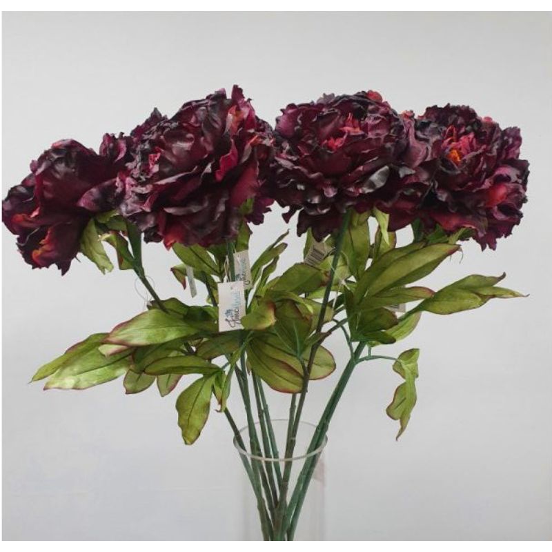 Dark Purple Dried Peony Stem - 81cm