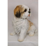 Load image into Gallery viewer, White &amp; Beige Sitting Shih TZU Dog Statue - 32cm
