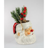 Load image into Gallery viewer, Santa Pot with Xmas Berry Plant - 11cm
