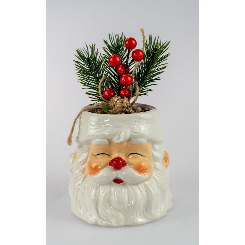 Santa Pot with Xmas Berry Plant - 11cm