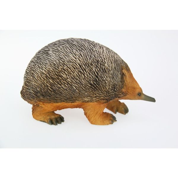 Cute Echidna Figurine - 26cm