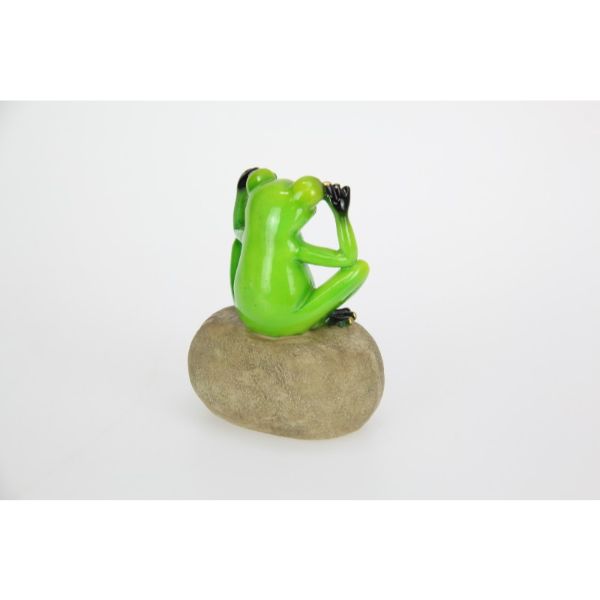 Frog on Rock with Joke Wording - 12cm