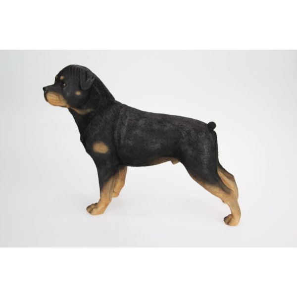 Standing Black Rottweiler Dog - 38cm x 30cm