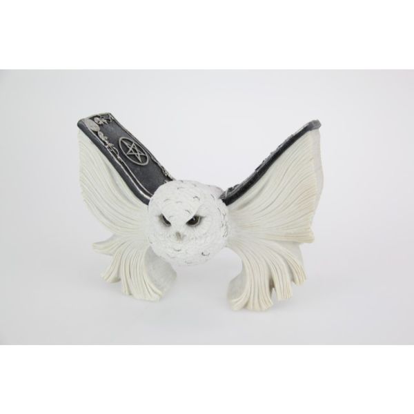 Mystical Flying White Owl with Spell Book Wings - 21cm