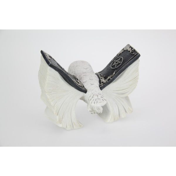 Mystical Flying White Owl with Spell Book Wings - 21cm