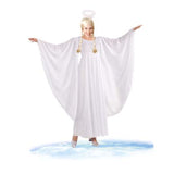 Load image into Gallery viewer, Womens Angel Costume - Standard
