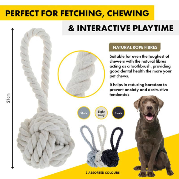 Large Rope Tug Toy with Ball - 21cm x 8.8cm | The Base Warehouse