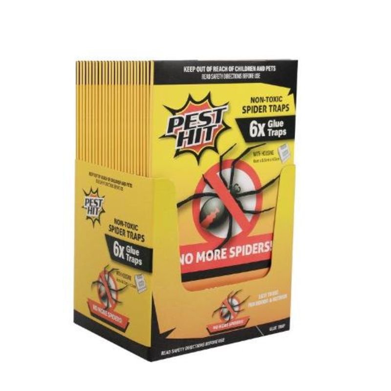 6 Pack Pest Hit Non Toxic Spider Glue Traps