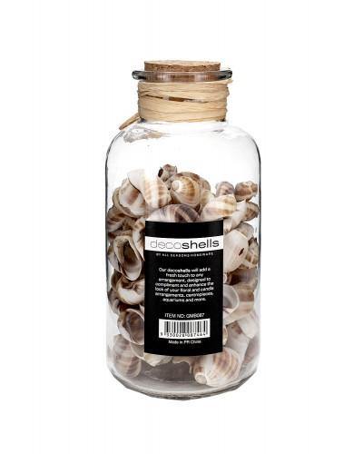 Bottled Decorative Seashells - 220g