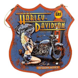 Load image into Gallery viewer, Harley Davidson Iron Wall Plaque - 30cm x 35cm
