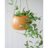 Load image into Gallery viewer, Mustard Cornelus Wide Hanging Pot Ceramic Planter - 20cm x 20cm x 14cm
