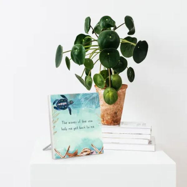 Turtle Cove Waves Sentiment Plaque - 12cm x 15cm
