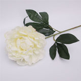 Load image into Gallery viewer, White Peony Stem - 65cm

