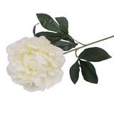 Load image into Gallery viewer, White Peony Stem - 65cm
