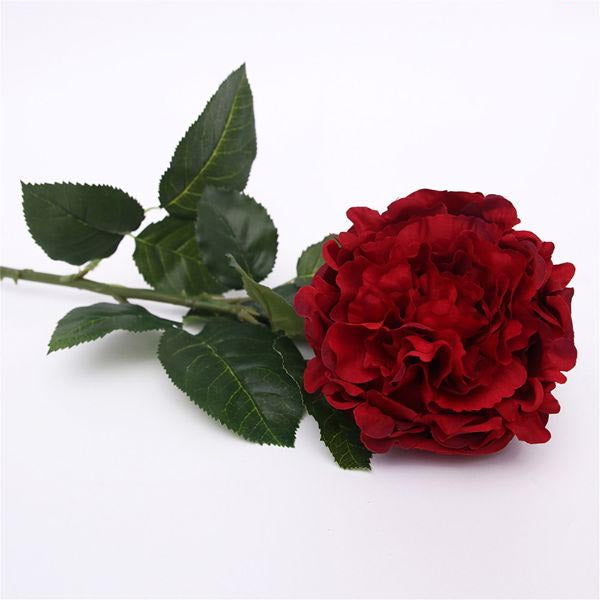Red Cabbage Rose Stem - 55cm