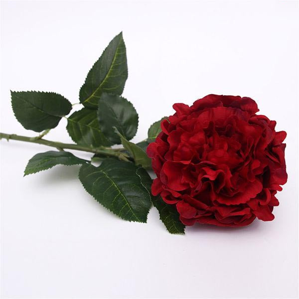 Red Cabbage Rose Stem - 55cm | The Base Warehouse
