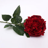 Load image into Gallery viewer, Red Cabbage Rose Stem - 55cm
