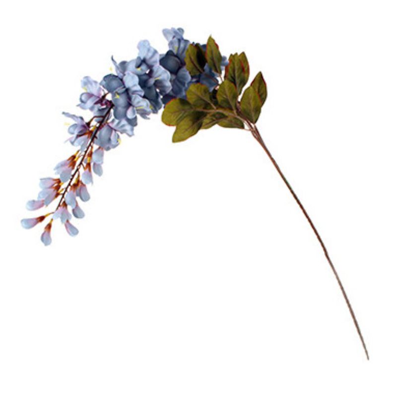 Blue Stem Foxglove - 100cm