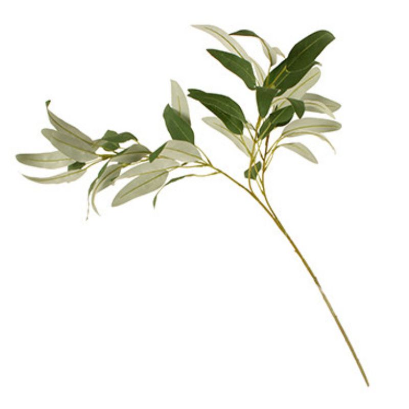 Green Spray Gum Tree - 78cm