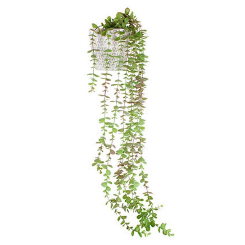 Green Linden Cascading Plant - 105cm