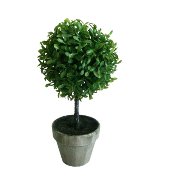 Decorative Boxwood Tree In Pot - 27cm