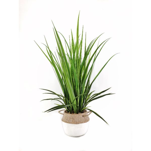 Artificial Grass In Cement Pot - 76cm