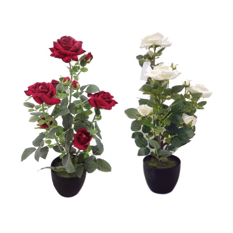 Velvet Rose in Pot - 71cm