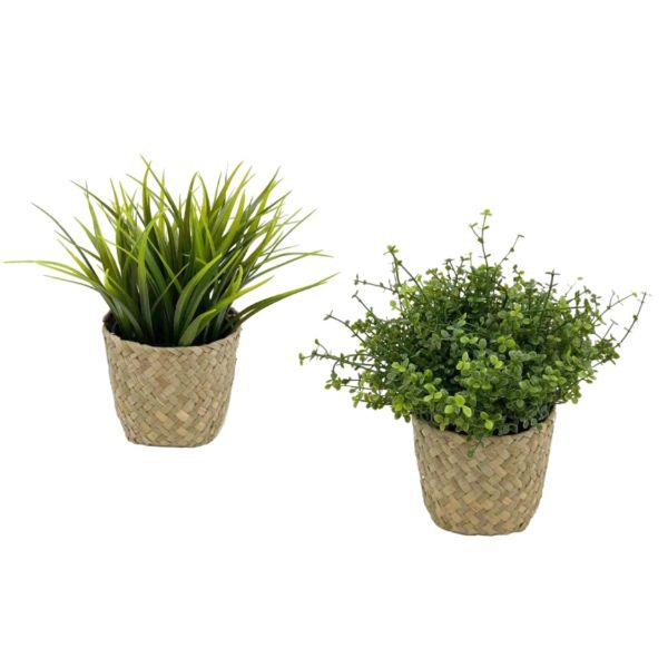 Green Artificial Plant In Basket - 23cm