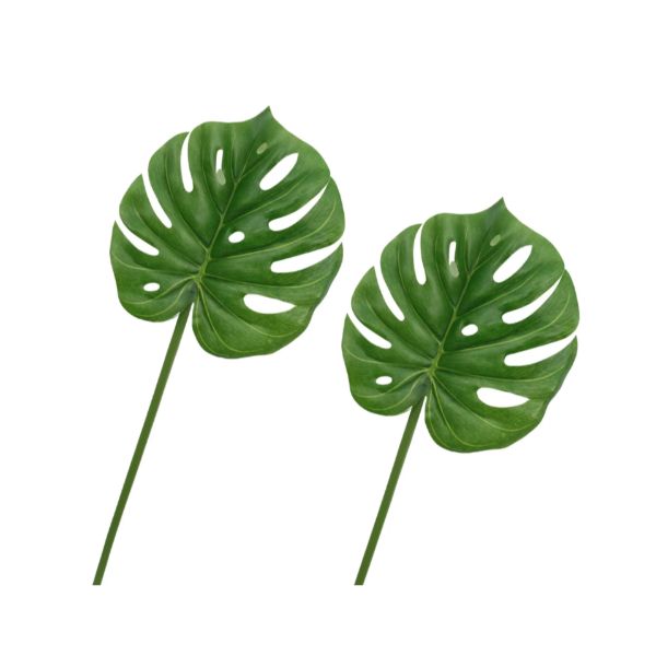 Single Real Touch Monstera Leaf - 64cm