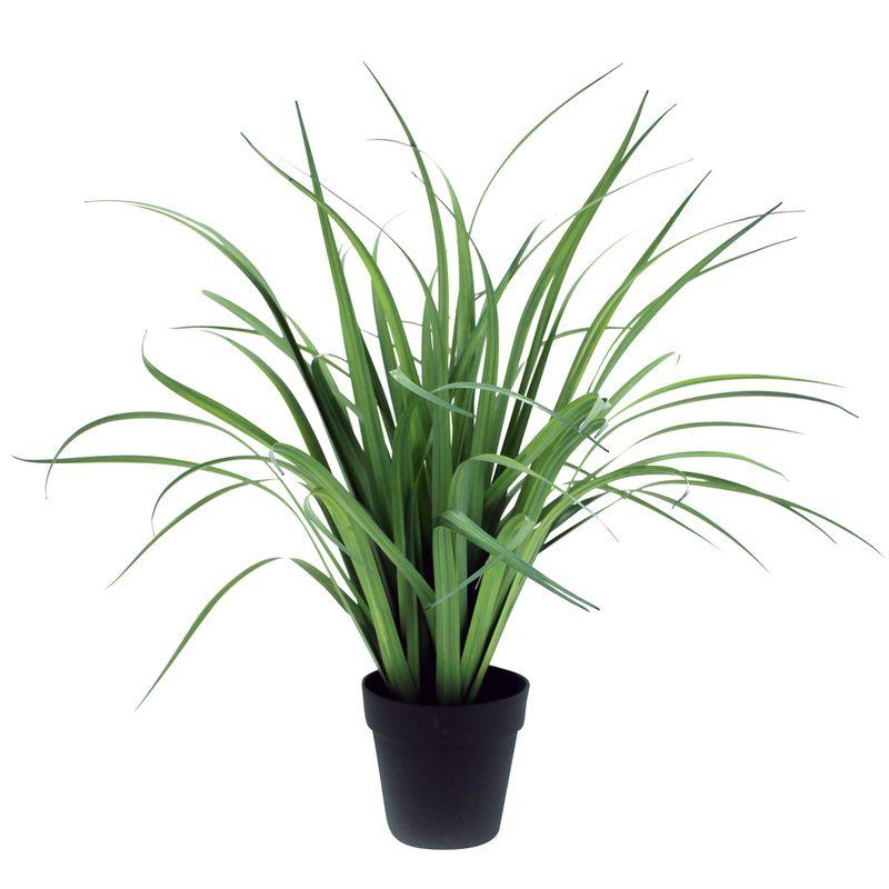 Grass with Black Pot - 77cm