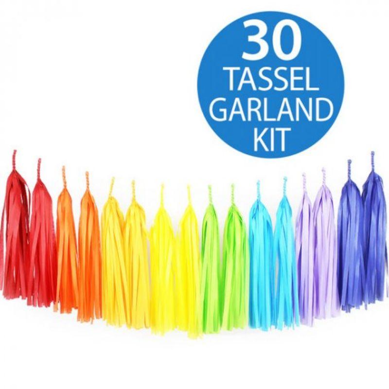 30 Tissue Paper Tassels Garland - 2m