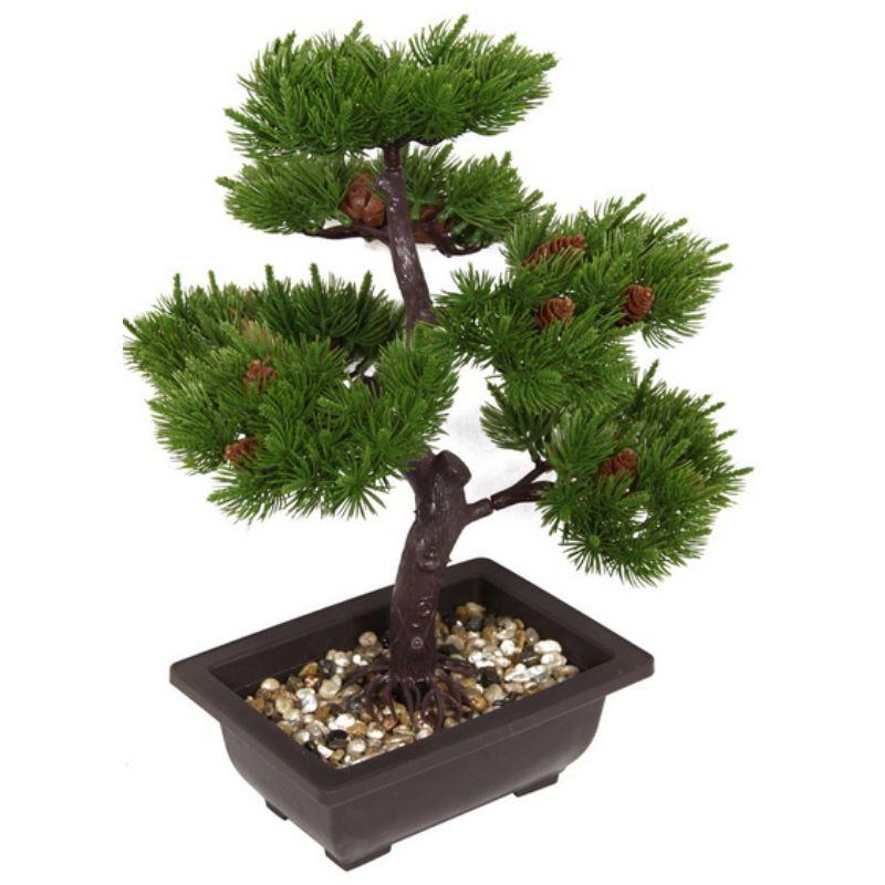 Bonsai Relaxation Tree in Pot - 40cm