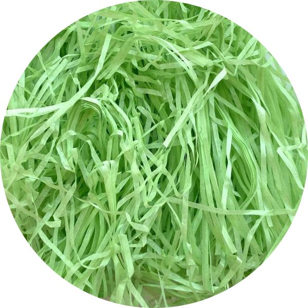 Pastel Green Shredded Paper - 50g