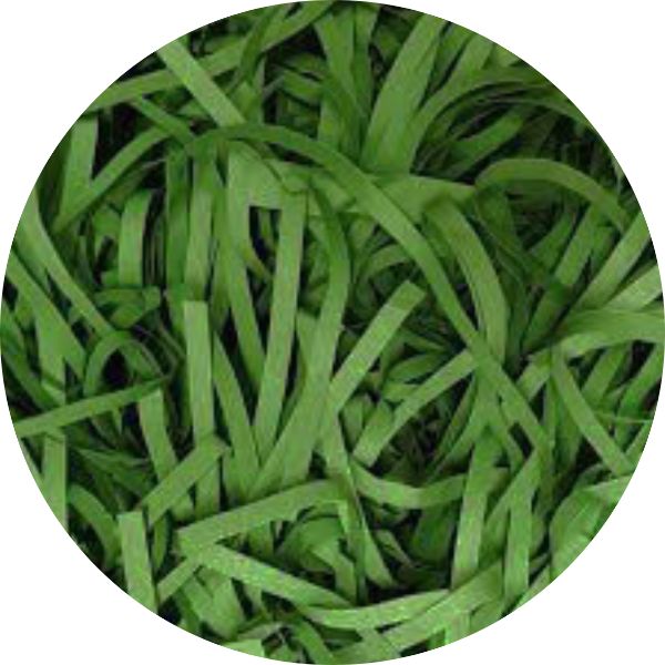 Christmas Green Shredded Paper - 50g