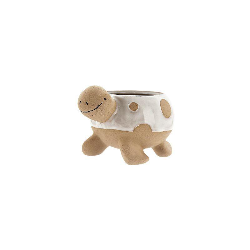Cream Turtle Pot - 12.9cm x 9.4cm x 8cm - The Base Warehouse